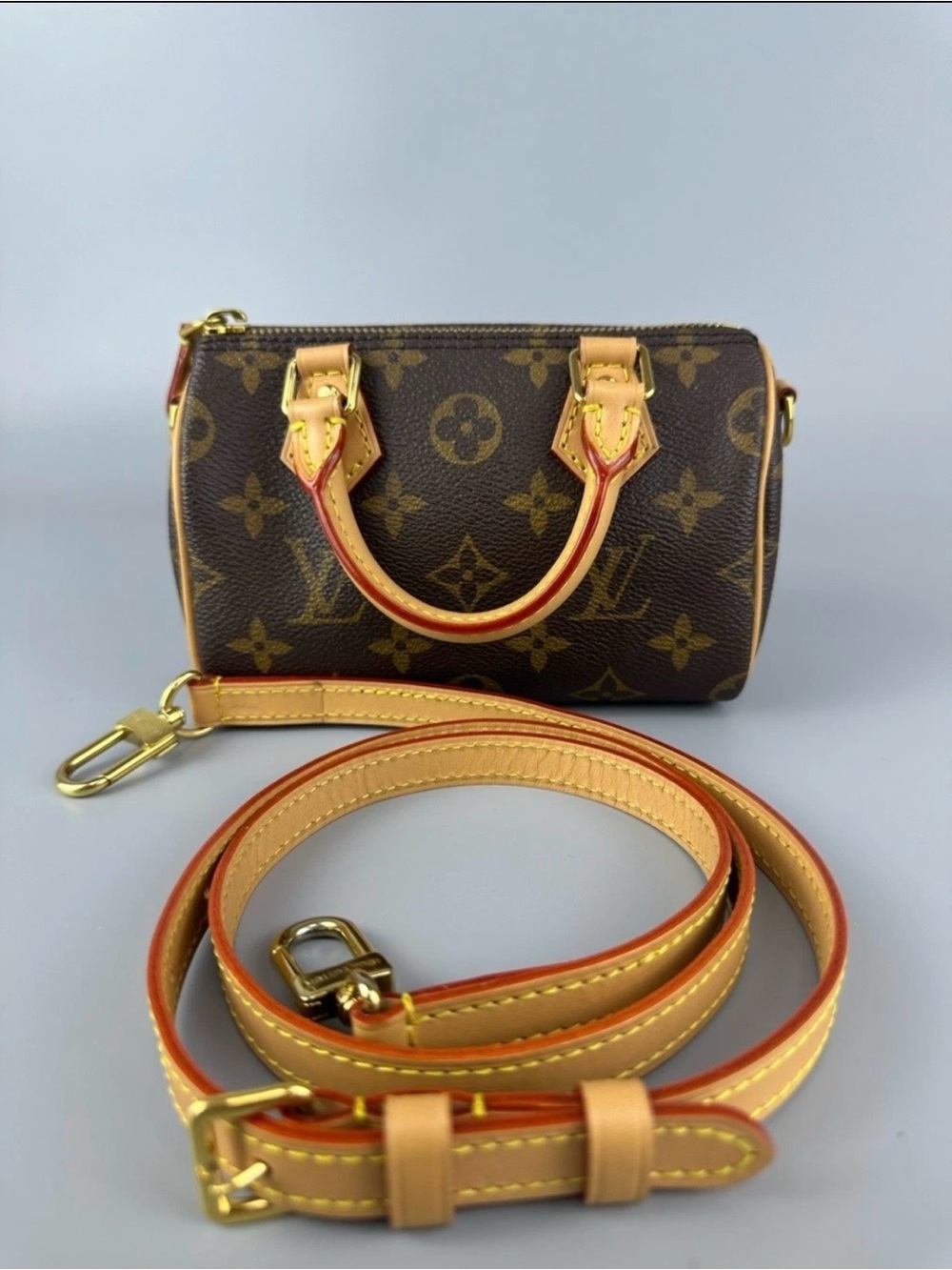 Louis Vuitton Speedy Nano Coated canvas cowhide handbags shoulder bag mini